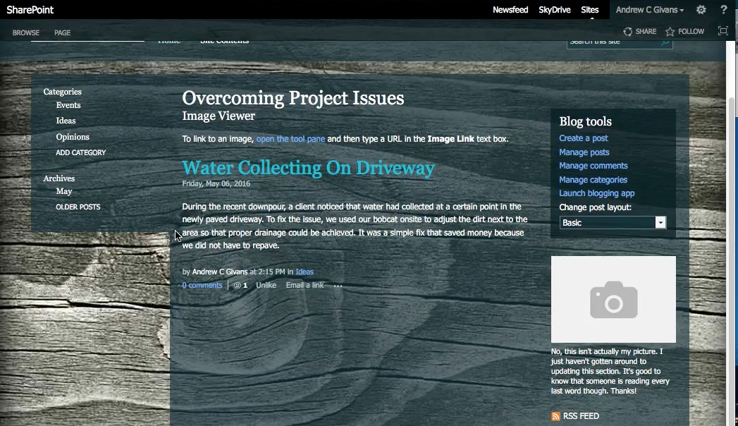 Project Issues